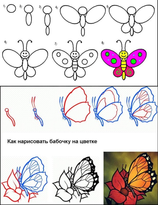Поэтапное рисование бабочки