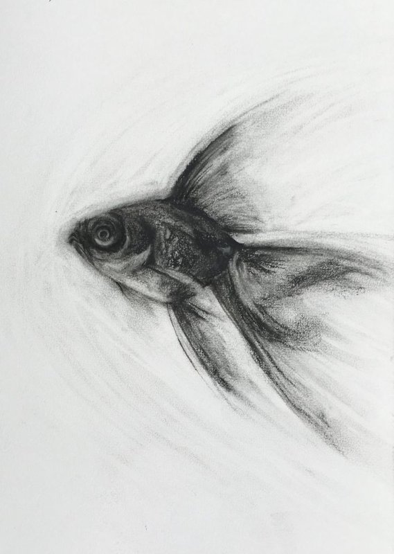 Уголь для рисования