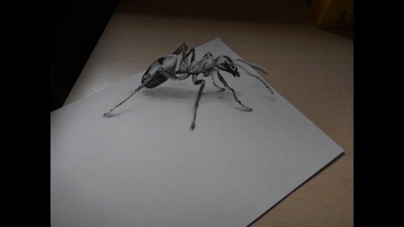 Рисование муравья