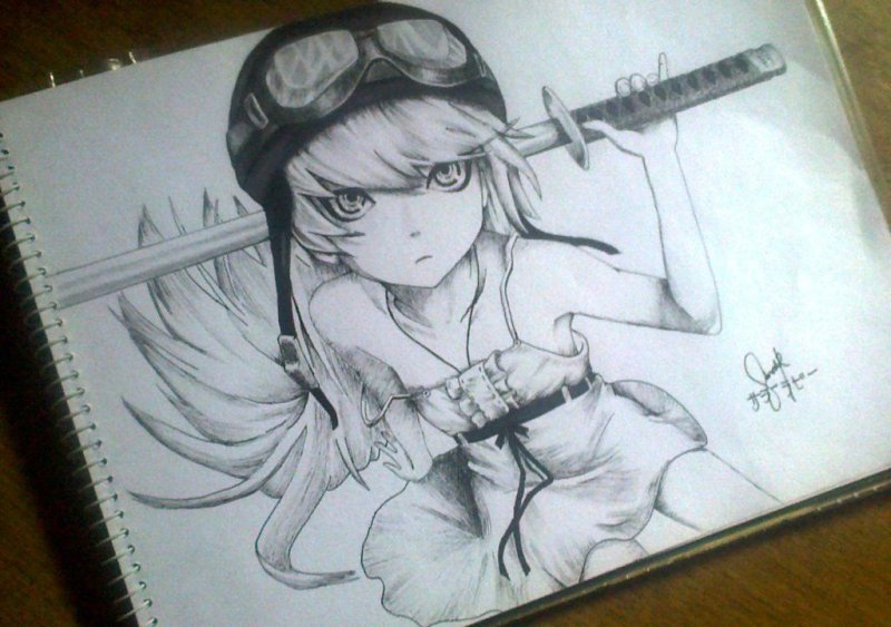 oshino shinobu