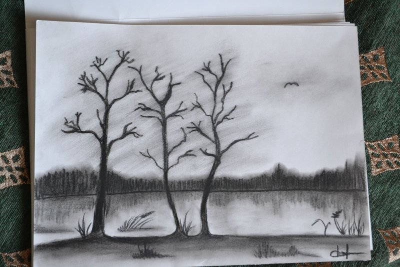 Рисунок углем для детей