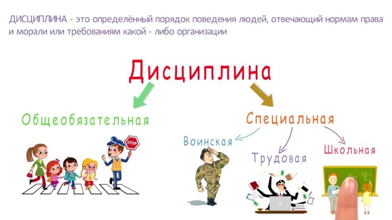 Дисциплина