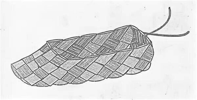 Рисунок лаптей легкий