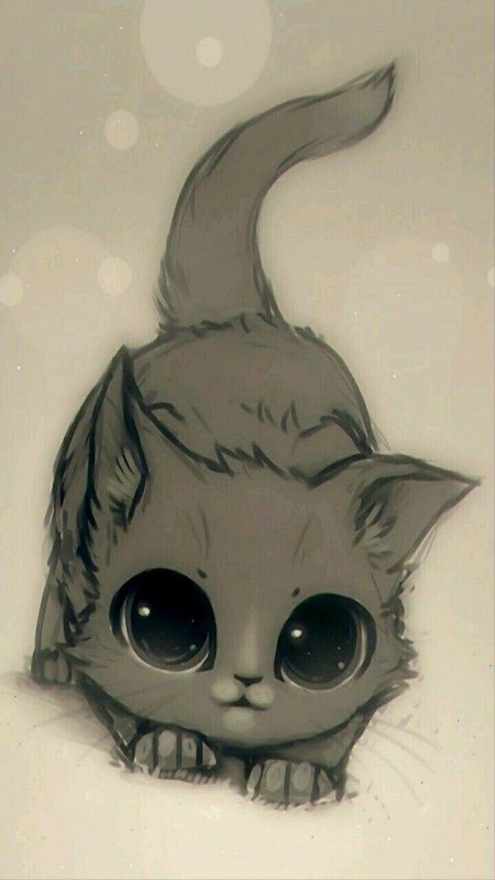 Аниме котята