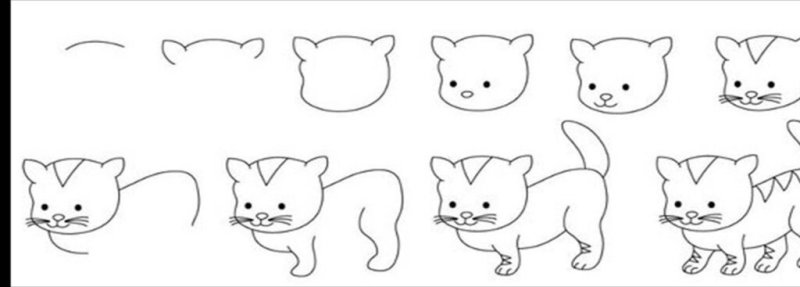 Нарисовать котёнка поэтапно карандашом для детей