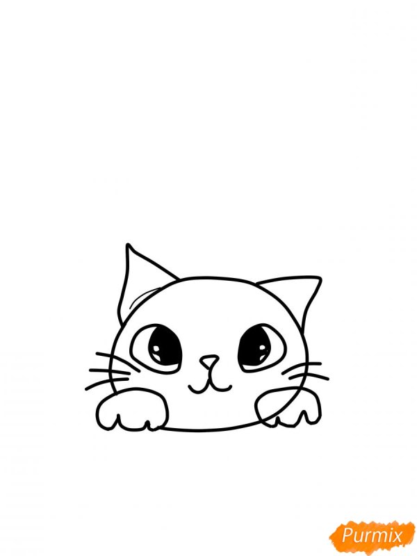 Рисунок котика для срисовки легко