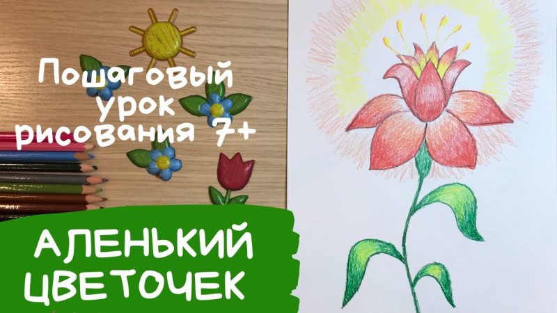 Аленький цветочек рисунок