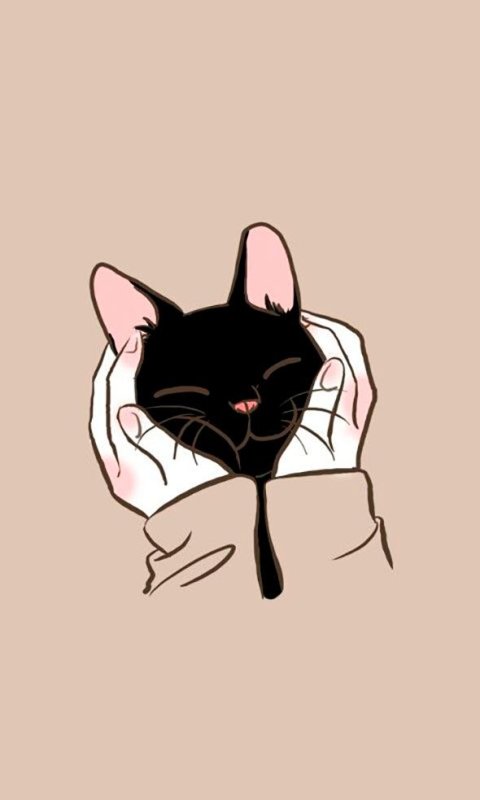 Аниме котики
