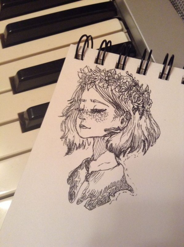 Рисунки для Стетч бука