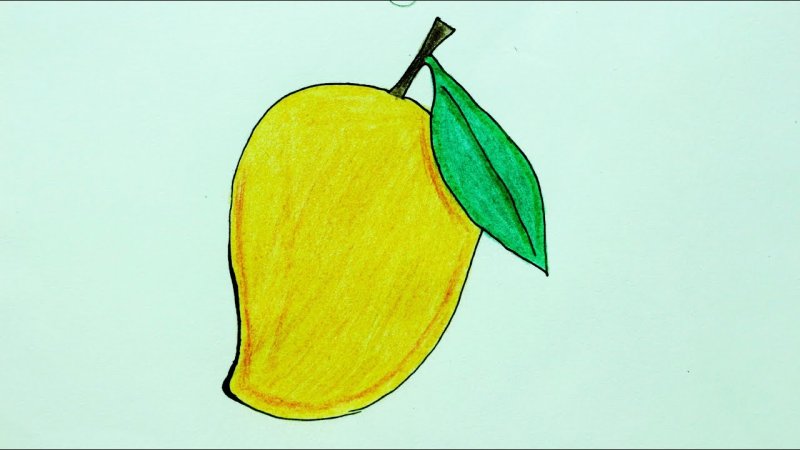 Рисунки фруктов для срисовки