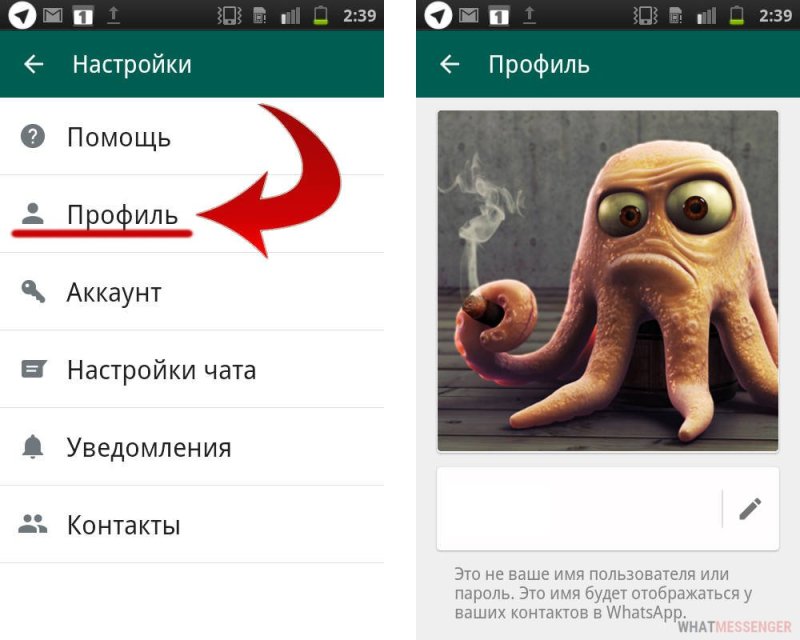 Прикольные статусы для ватсапа
