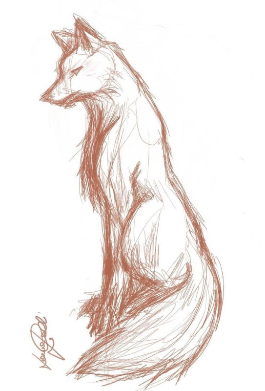 Рисунок лисы для срисовки