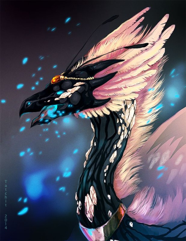 Skydancer дракон