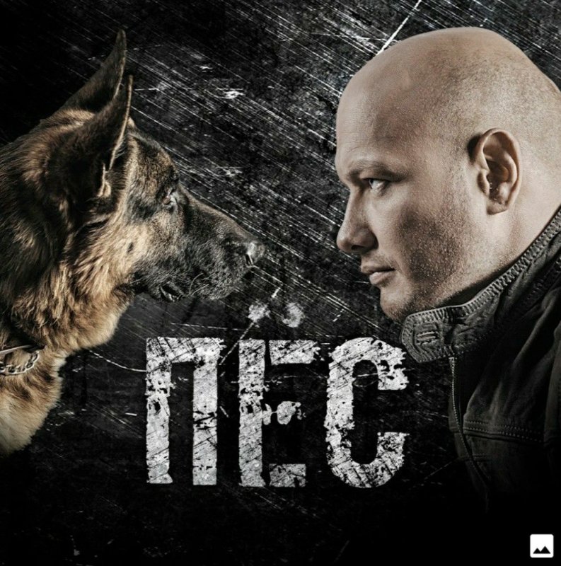Никита Панфилов в сериале пес