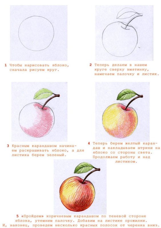 Рисунки цветными карандашами для начинающих