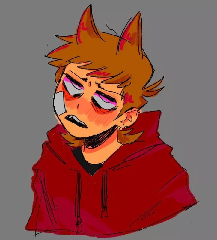 Торд Ларссон