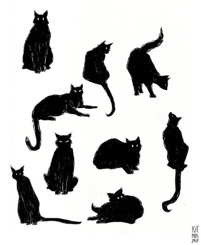 Черная кошка рисунок