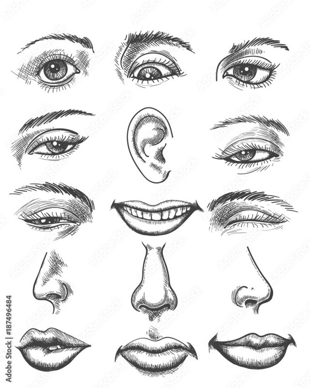 Рисование отдельных частей лица