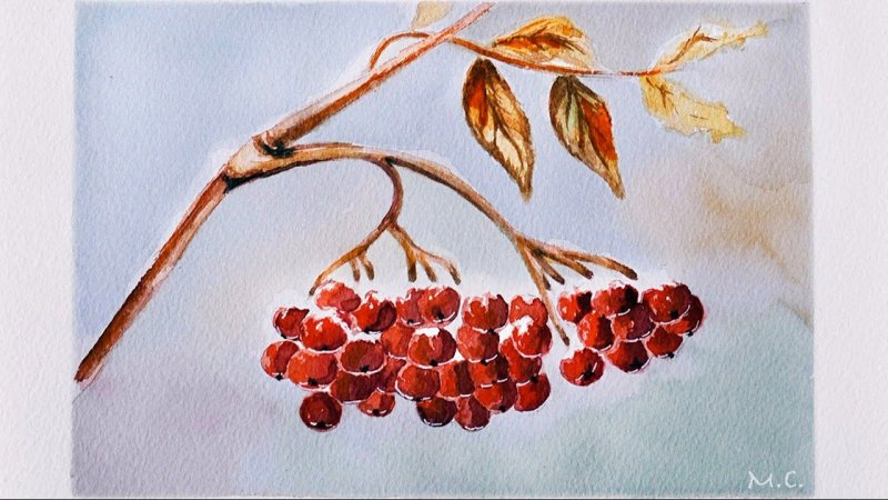 Рябина рисунок красками