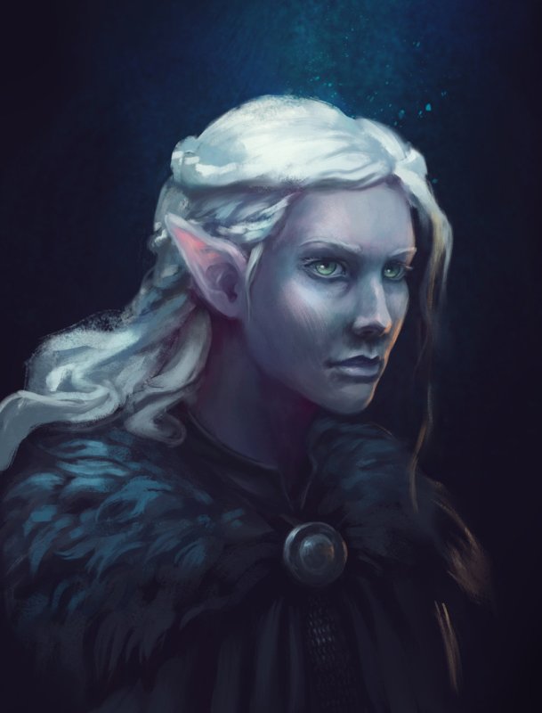 Moon Elf DND e5