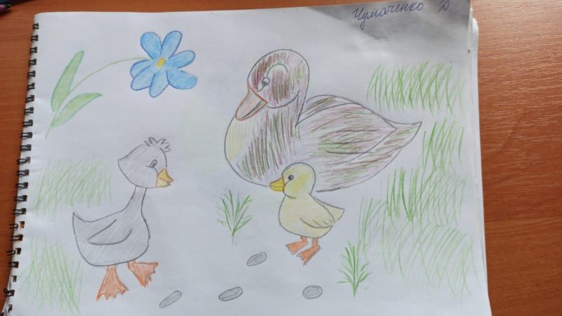 Рисунок на тему Гадкий утенок