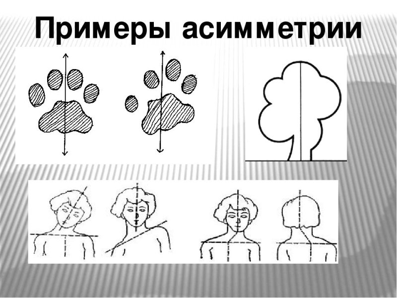 Симметричные предметы