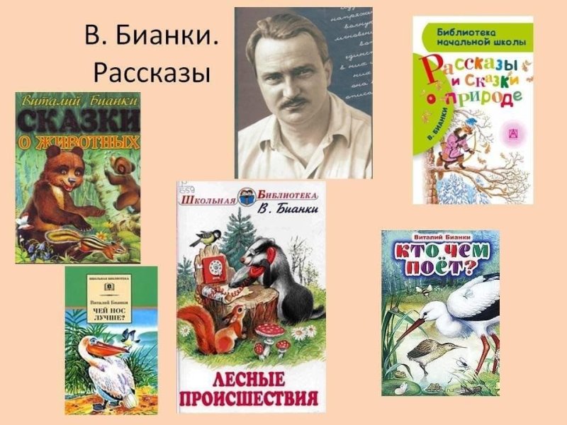 Рассказы о природе Виталий Бианки книга