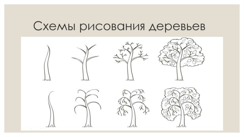 Этапы рисования дерева для дошкольников