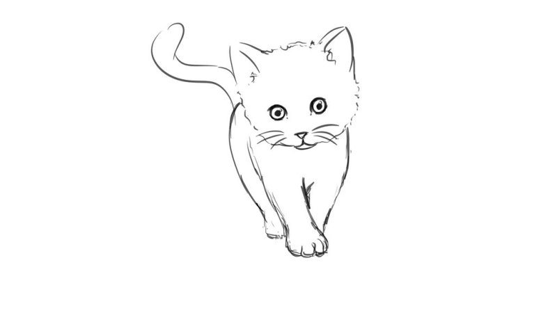Рисунок кота легко для срисовки