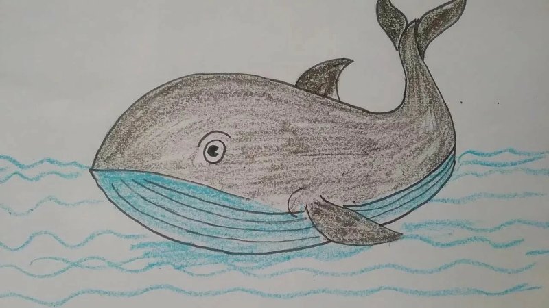 Нарисовать кита карандашом