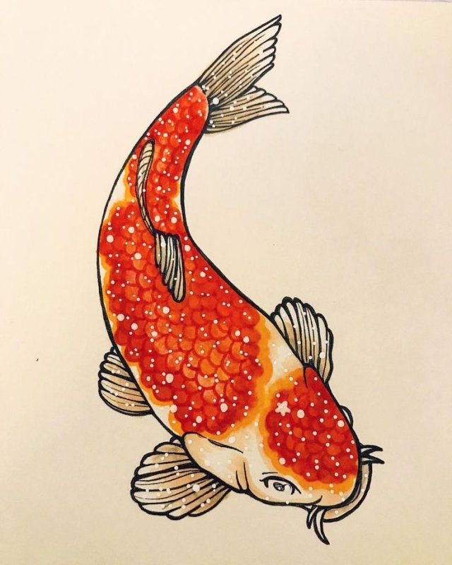 Рисунки рыбок для срисовки