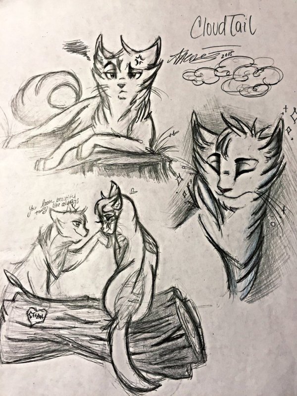 Рисунки котов воителей для срисовки