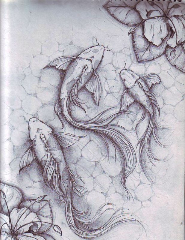 Рыба рисунок