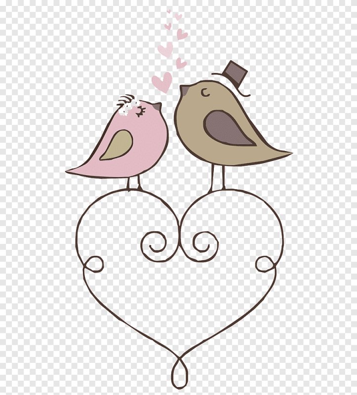 влюбленные птички