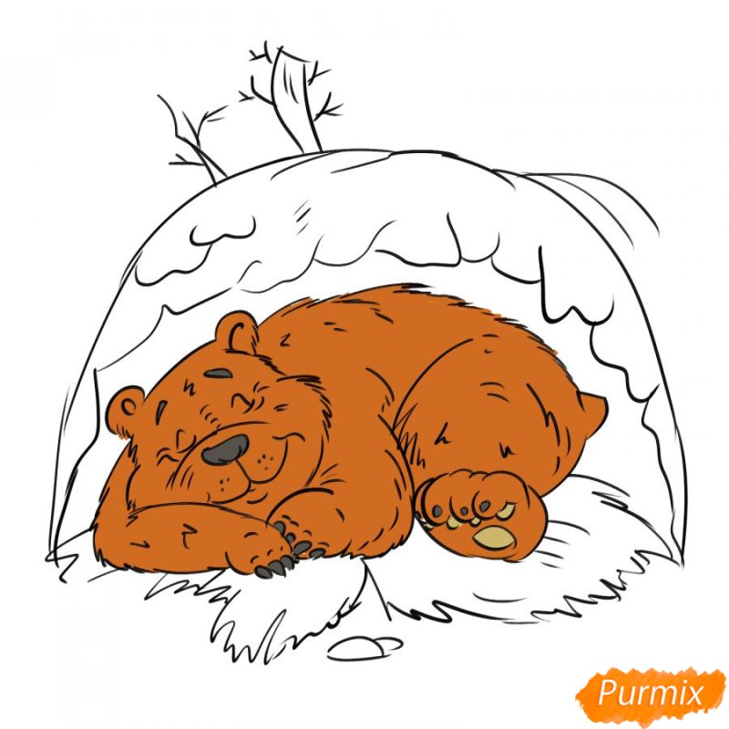 Спящий медведь раскраска