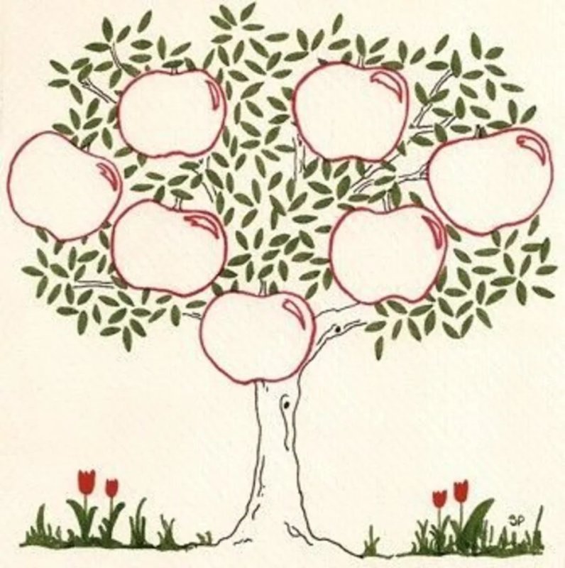 генеалогическое дерево рисунок