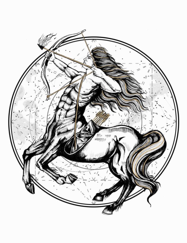 Стрелец Sagittarius